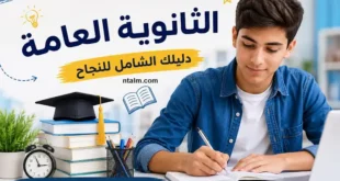التنسيق الإلكتروني