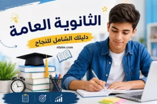 التنسيق الإلكتروني