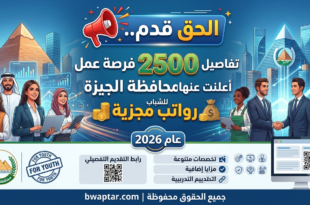 وظيفة في الجيزة برواتب خيالية